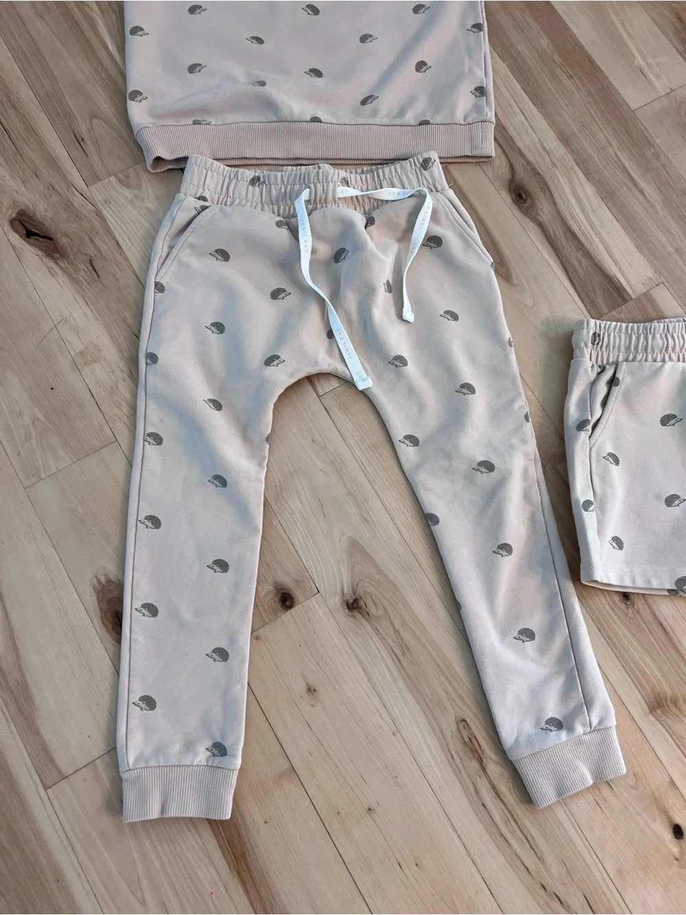 Jamie Kay Beige Sweatshirt & Jogger Set with Gray      Hedgehog Print